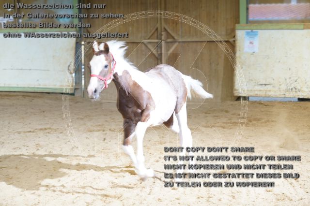 a_K3F03829.JPG
